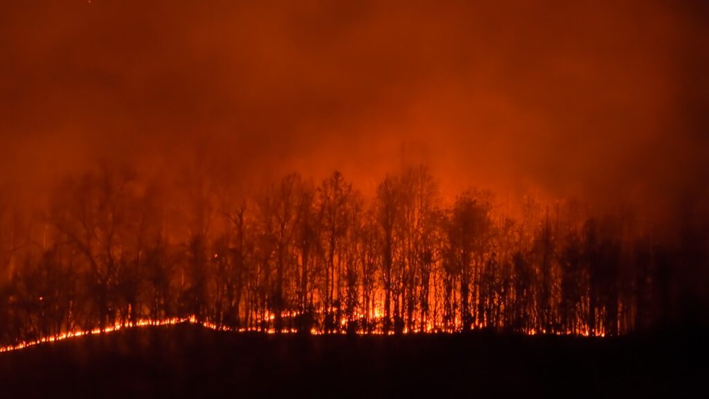 Wildfire Safety Tips