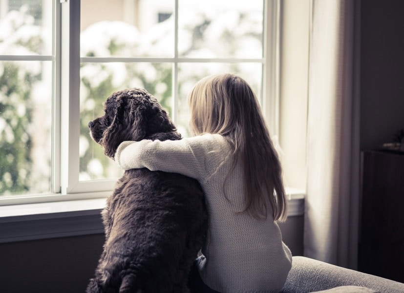why is my furnace blowing cold air? girl and her dog looking out the window